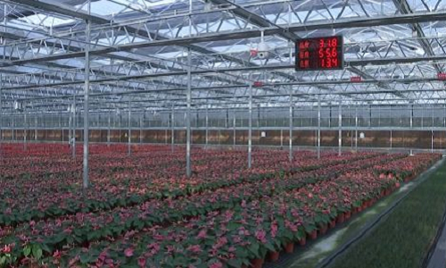 扬州某智能农业—花卉大棚